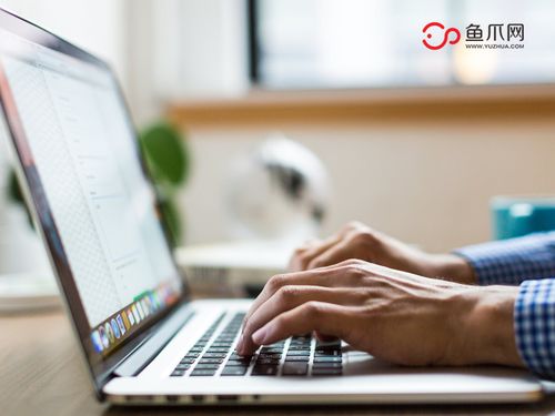 打破傳統(tǒng)，聚焦個體 從魚爪網(wǎng)看個人互聯(lián)網(wǎng)服務(wù)的品牌發(fā)展新路徑